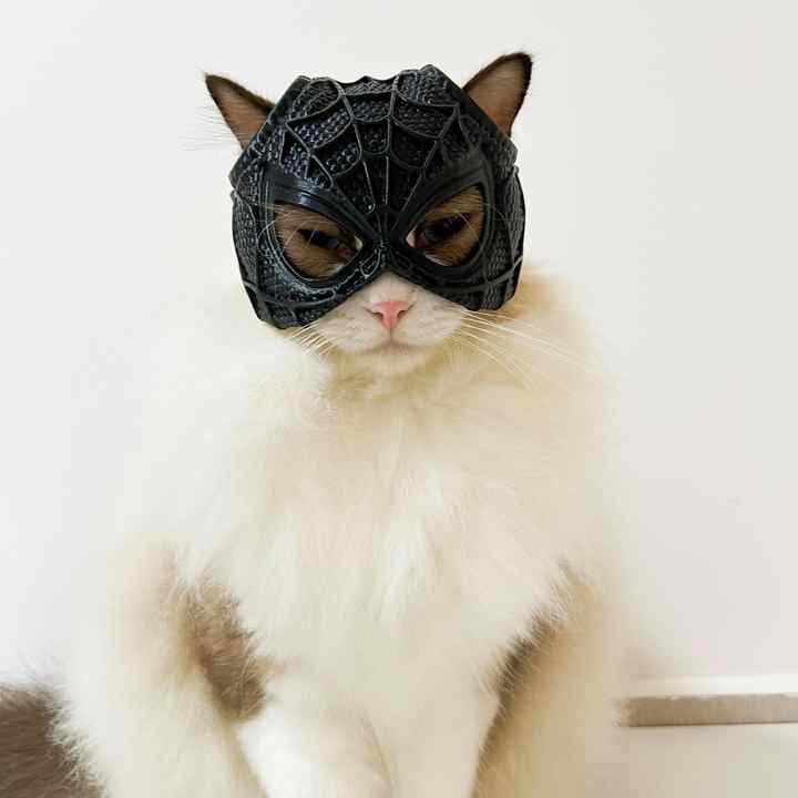 NNEDSZ Size M Black And Red Stitching DIY 3D Printed Spider-Man Cat Mask - Mini Decorative Half-Face Mask for Pets